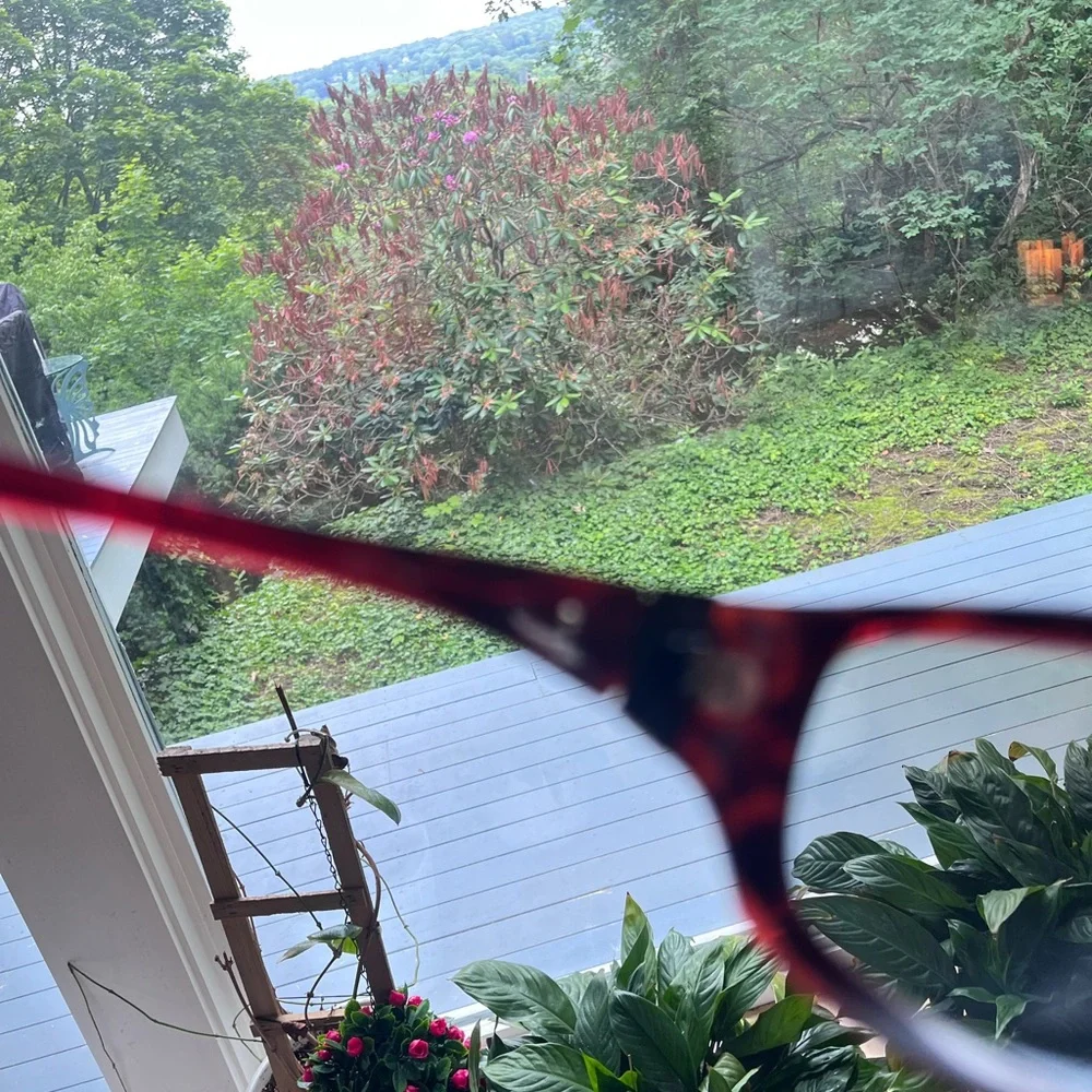 Oakley Black and Red Women's Disobey Sunglasses
